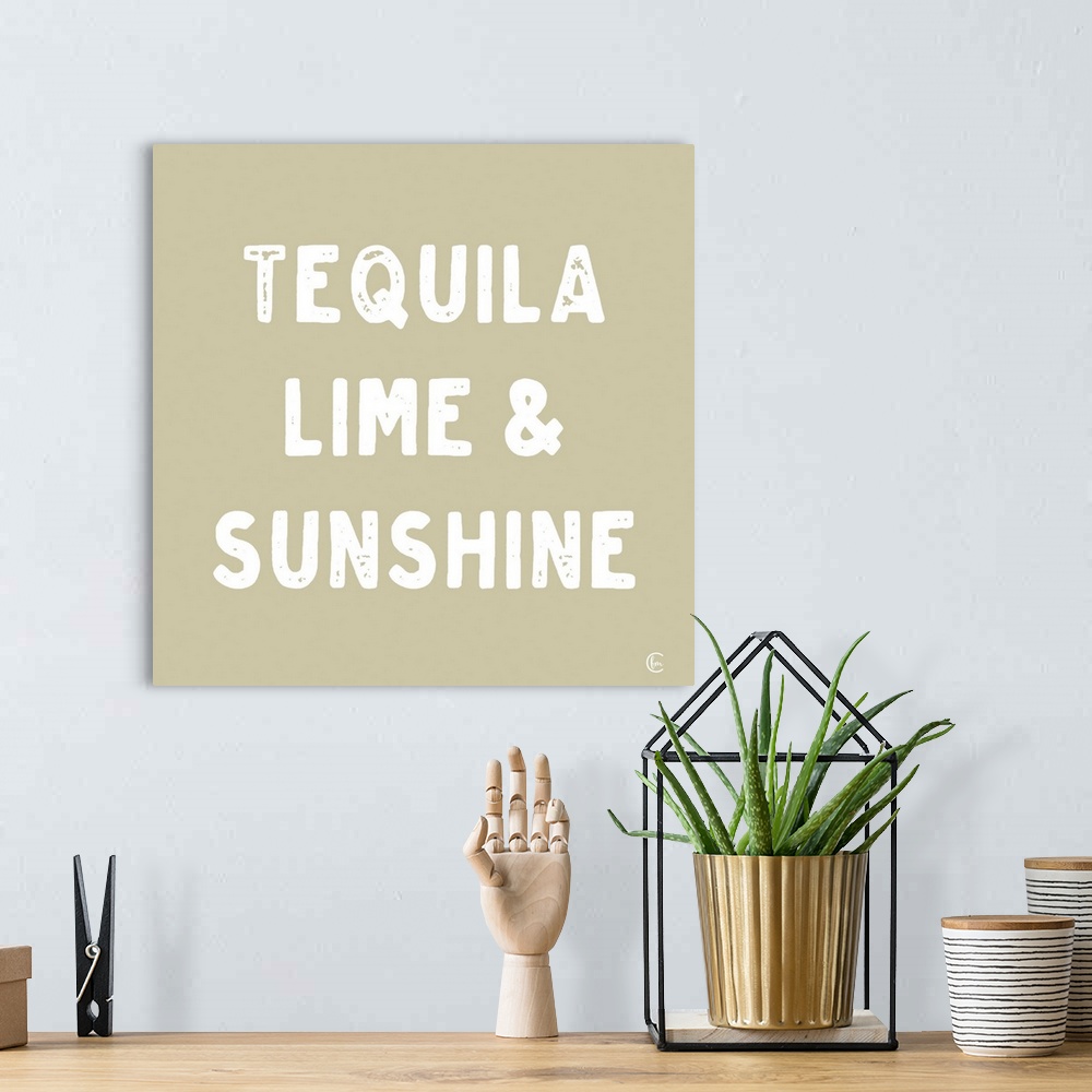 A bohemian room featuring Tequila, Lime & Sunshine