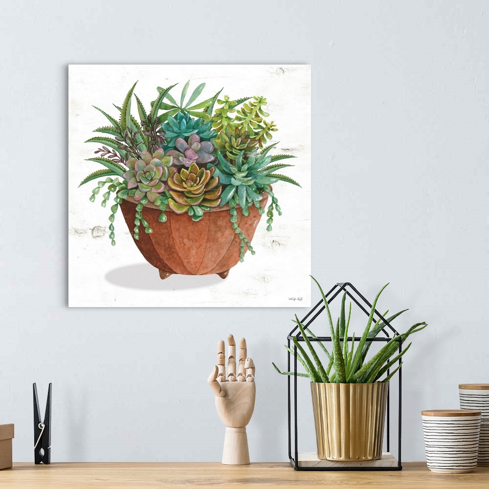 A bohemian room featuring Terracotta Succulents I