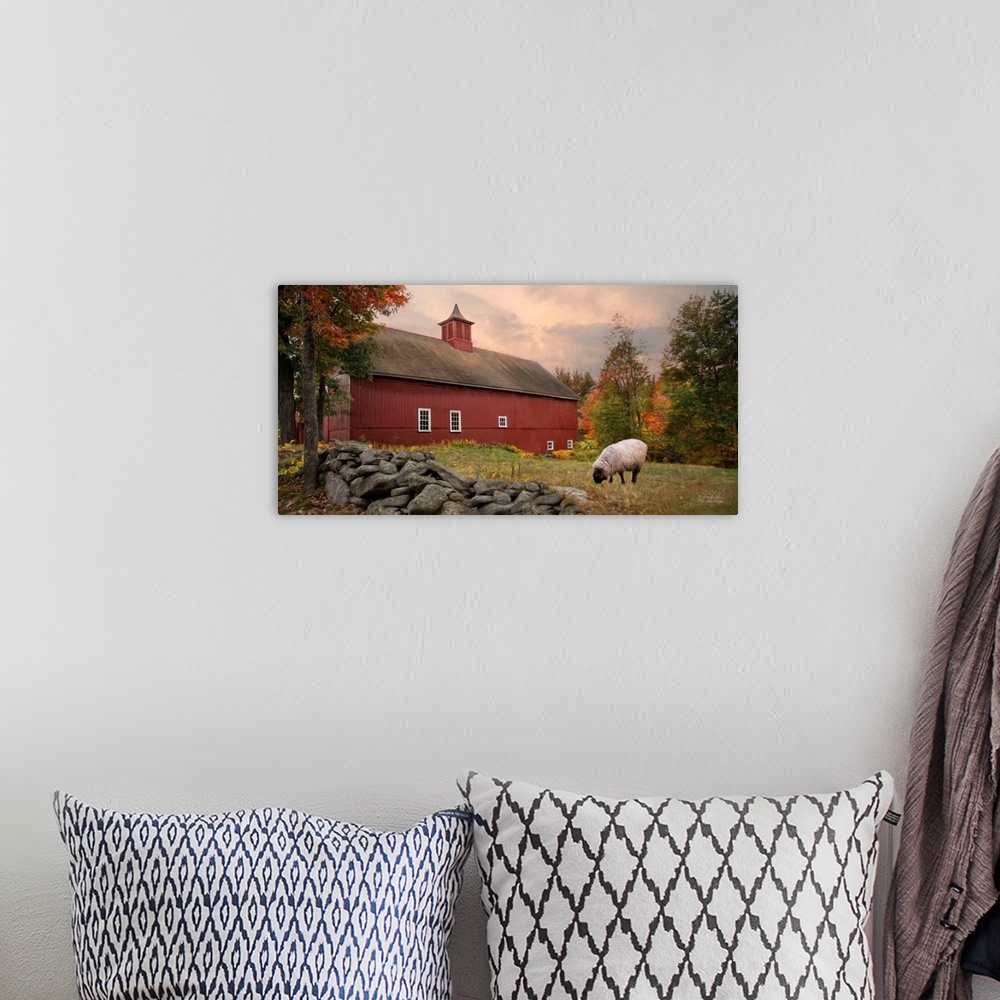A bohemian room featuring A lone sheep grazing on the lawn near a red barn.