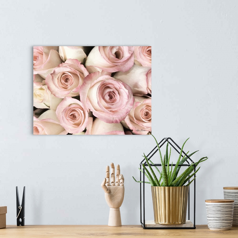A bohemian room featuring Top View - Pink Roses