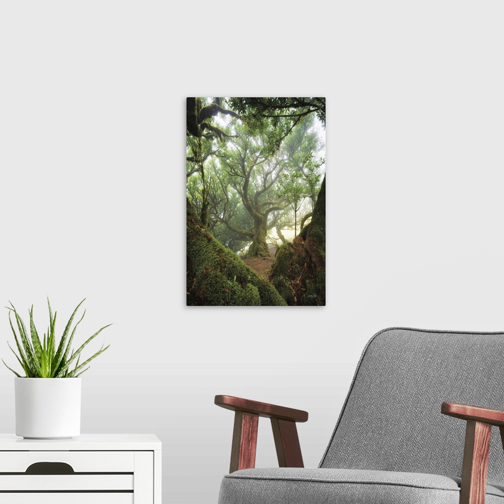 A modern room featuring Tree Love