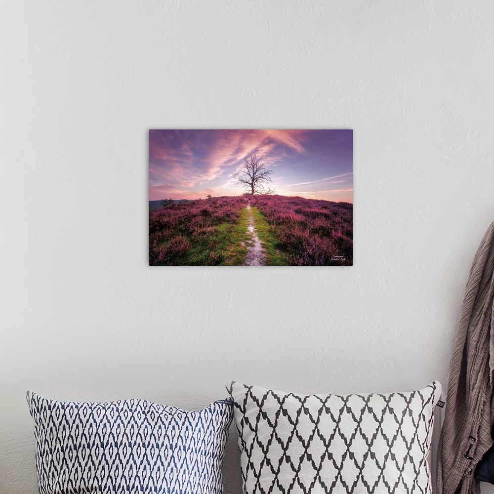 A bohemian room featuring Fine art photo of a bare tree at the summit of a hill under a pastel sky.