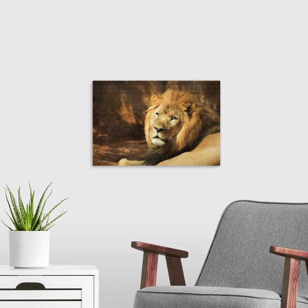 A modern room featuring Photograph of a lion against a tribal patterned background.