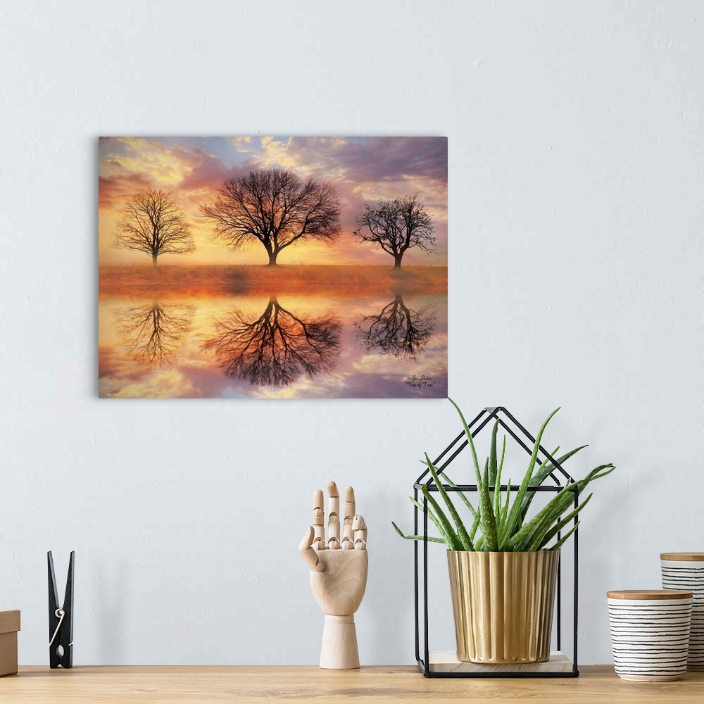 A bohemian room featuring Photograph of a landscape with sunset colors and trees reflecting in the water.