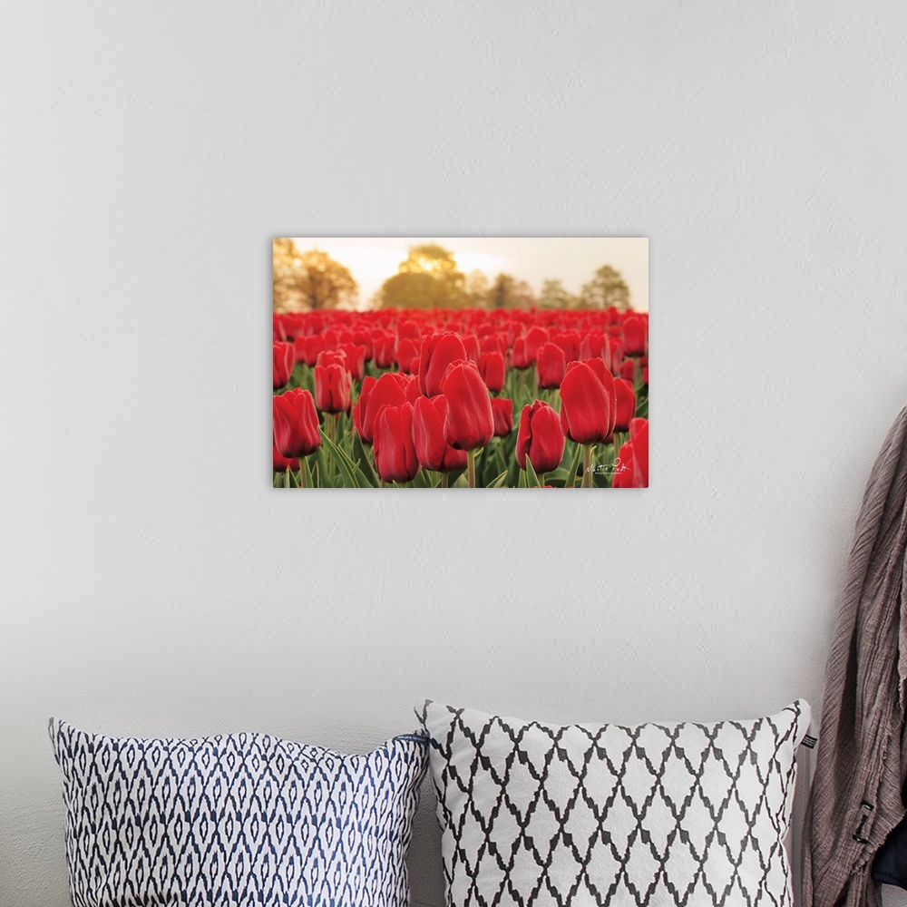 A bohemian room featuring Tulips from Twente