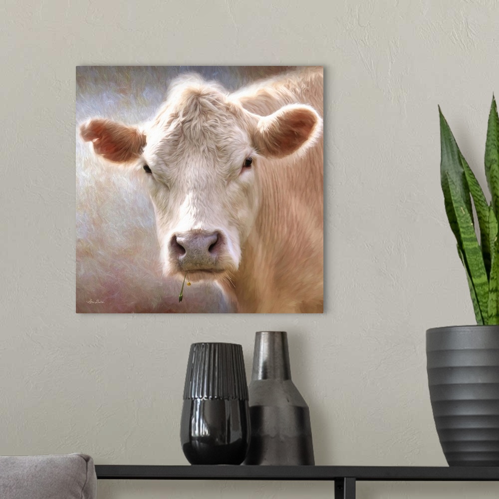 A modern room featuring Contemporary portrait of a white cow with bright sunlight.