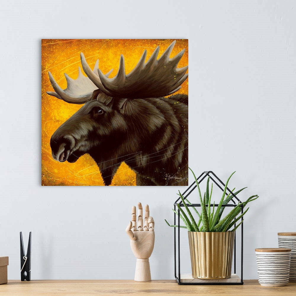 A bohemian room featuring Contemporary portrait of a bull moose with large antlers.