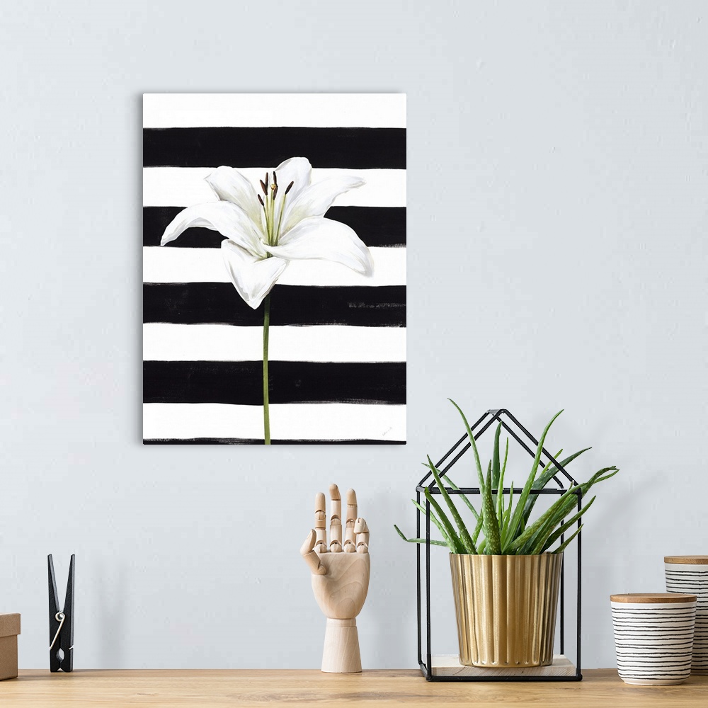 A bohemian room featuring A single white lily over a black and white striped background.