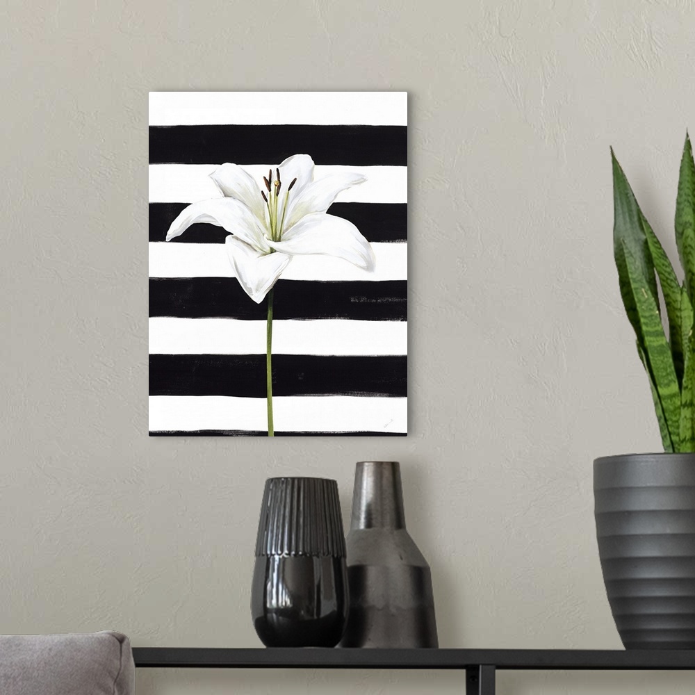 A modern room featuring A single white lily over a black and white striped background.