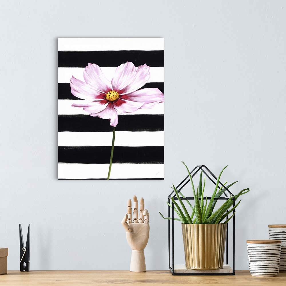 A bohemian room featuring A single pink flower over a black and white striped background.