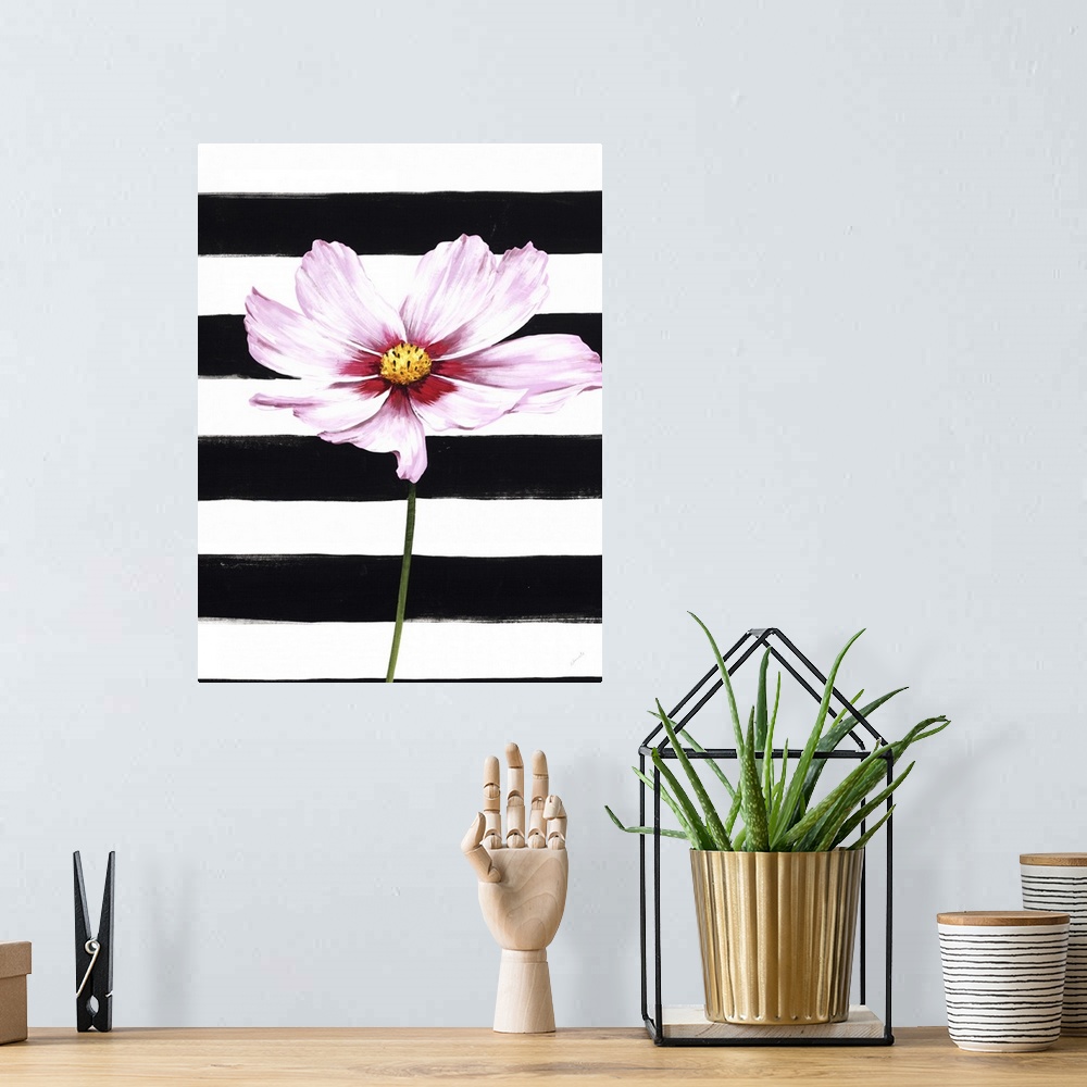 A bohemian room featuring A single pink flower over a black and white striped background.