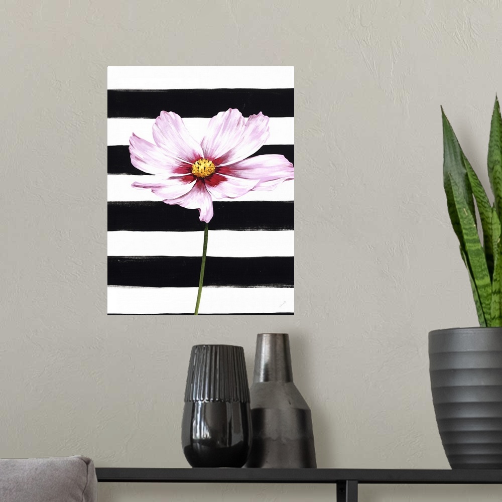 A modern room featuring A single pink flower over a black and white striped background.