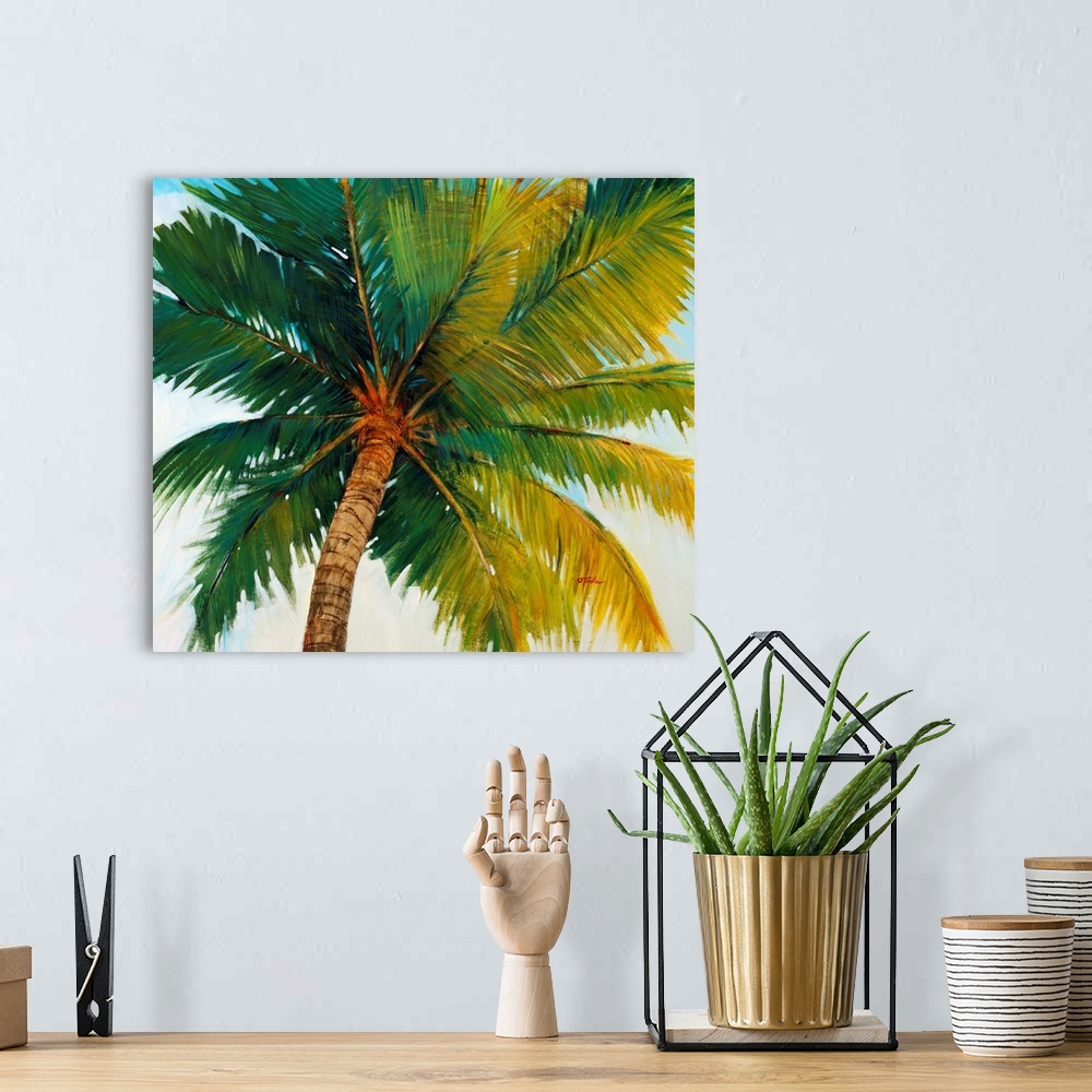 A bohemian room featuring Palm Tree Sky