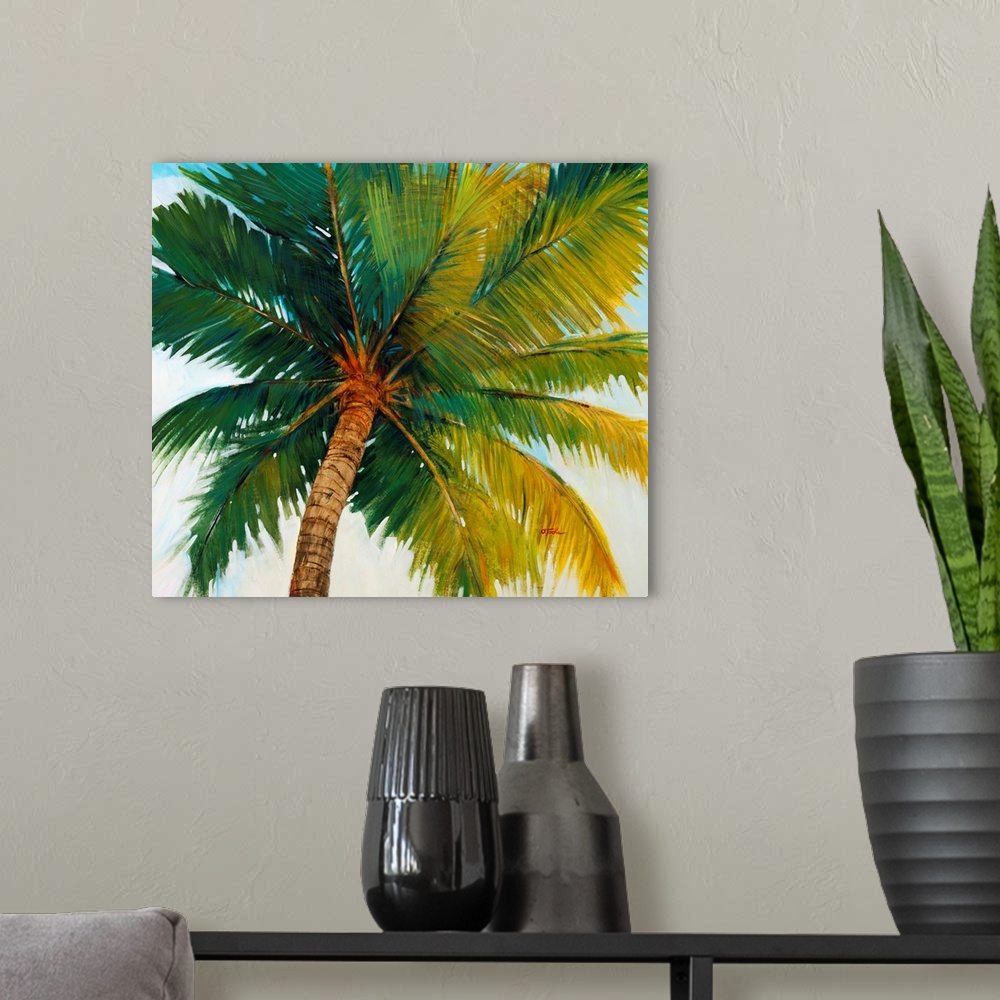 A modern room featuring Palm Tree Sky