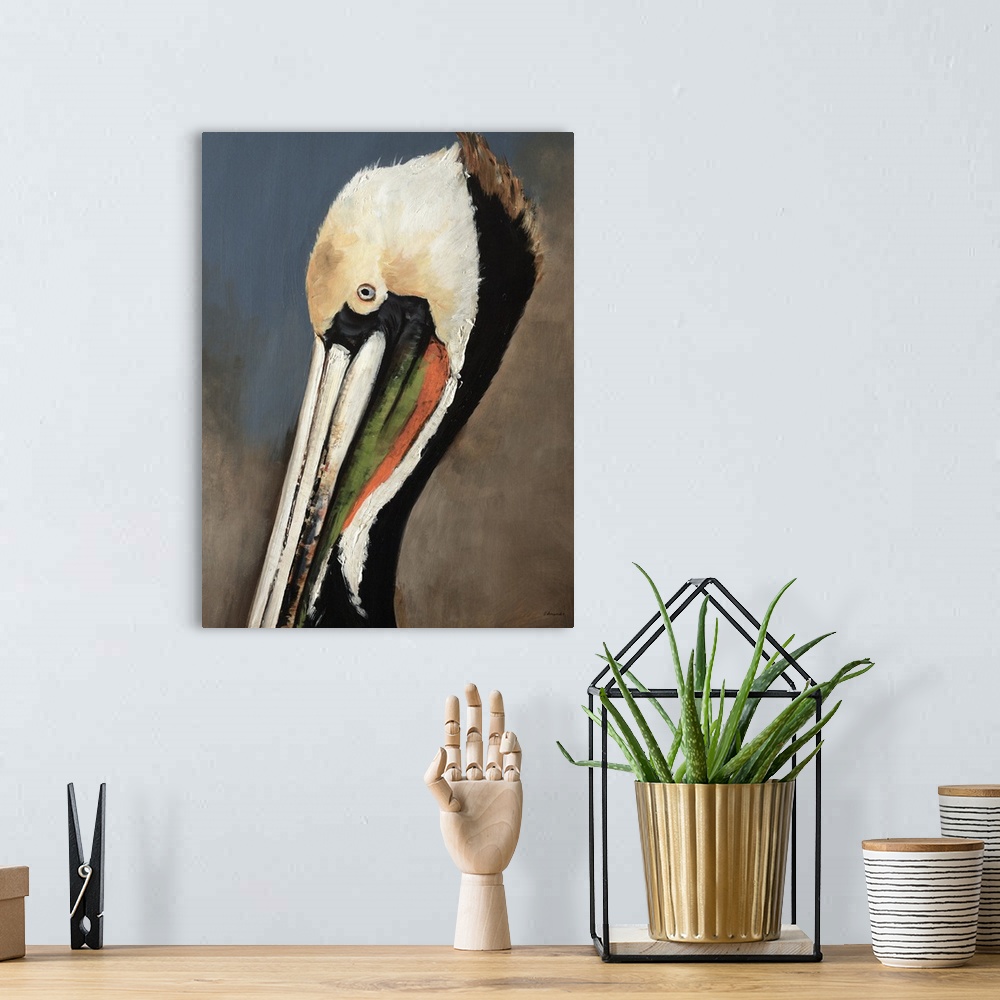 A bohemian room featuring Contemporary portrait of the head and bill of a Brown Pelican in breeding plumage, a sea-faring b...