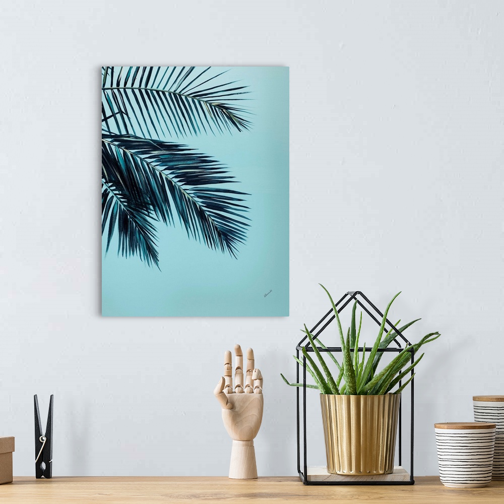 A bohemian room featuring Tropical Palms III