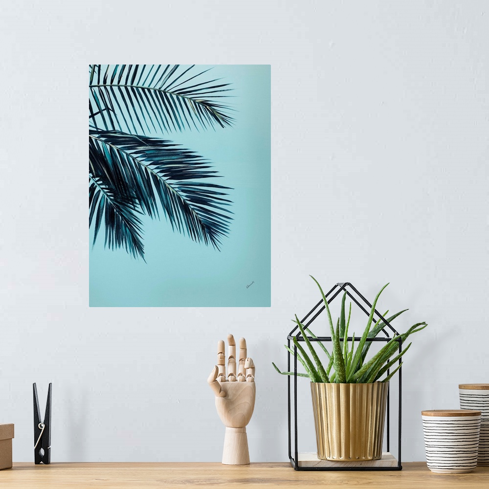 A bohemian room featuring Tropical Palms III