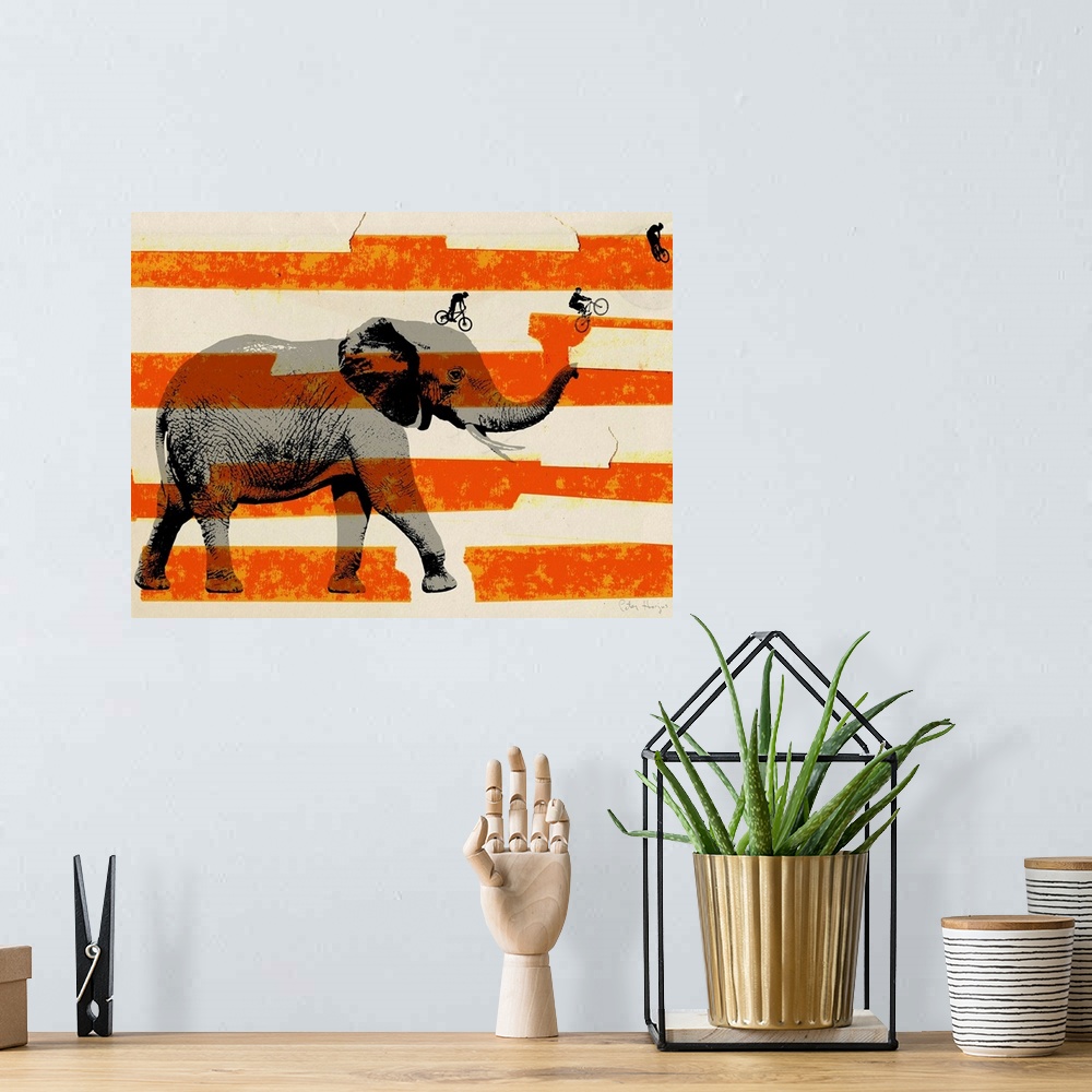 A bohemian room featuring Large gray elephant in profile with bmx riders jumping off the elephant’s trunk with american fla...
