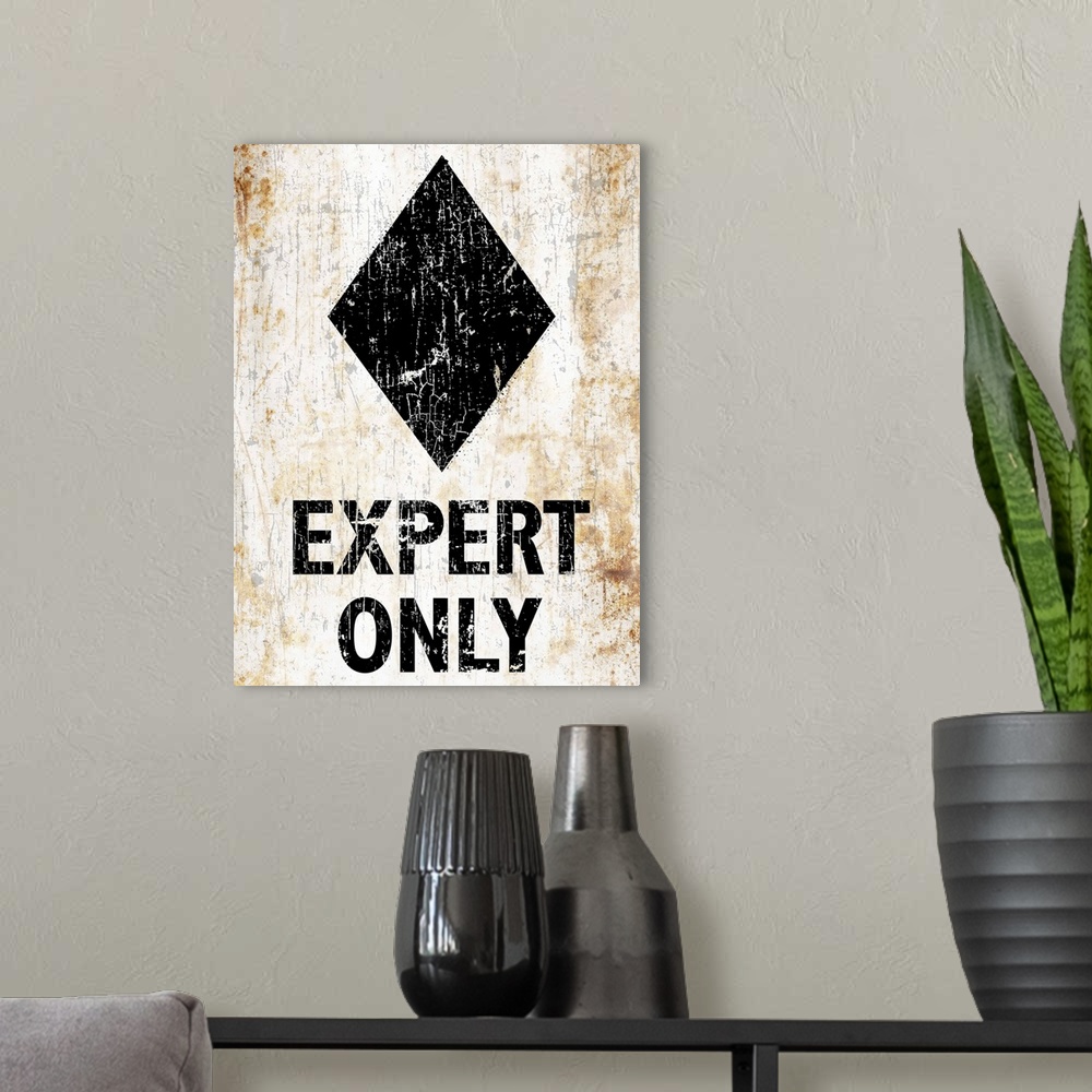 A modern room featuring A worn, distressed, cracked and rusty Expert Only ski sign.
