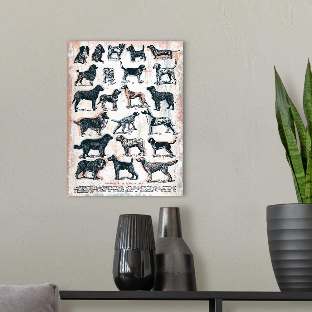 A modern room featuring A chart of 22 different types of dogs all listed by name and image in a retro art look.