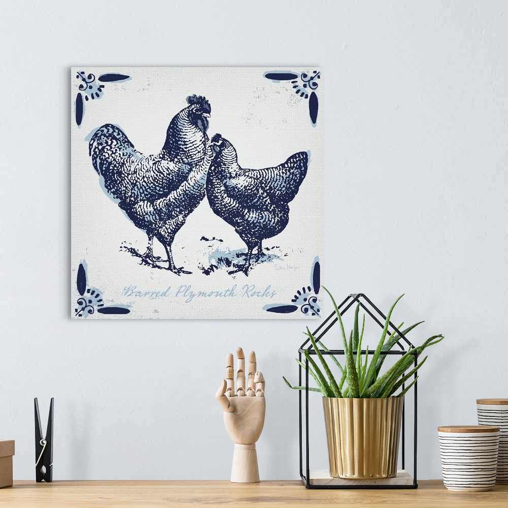 A bohemian room featuring Plymouth rock chickens with typography in dutch blue