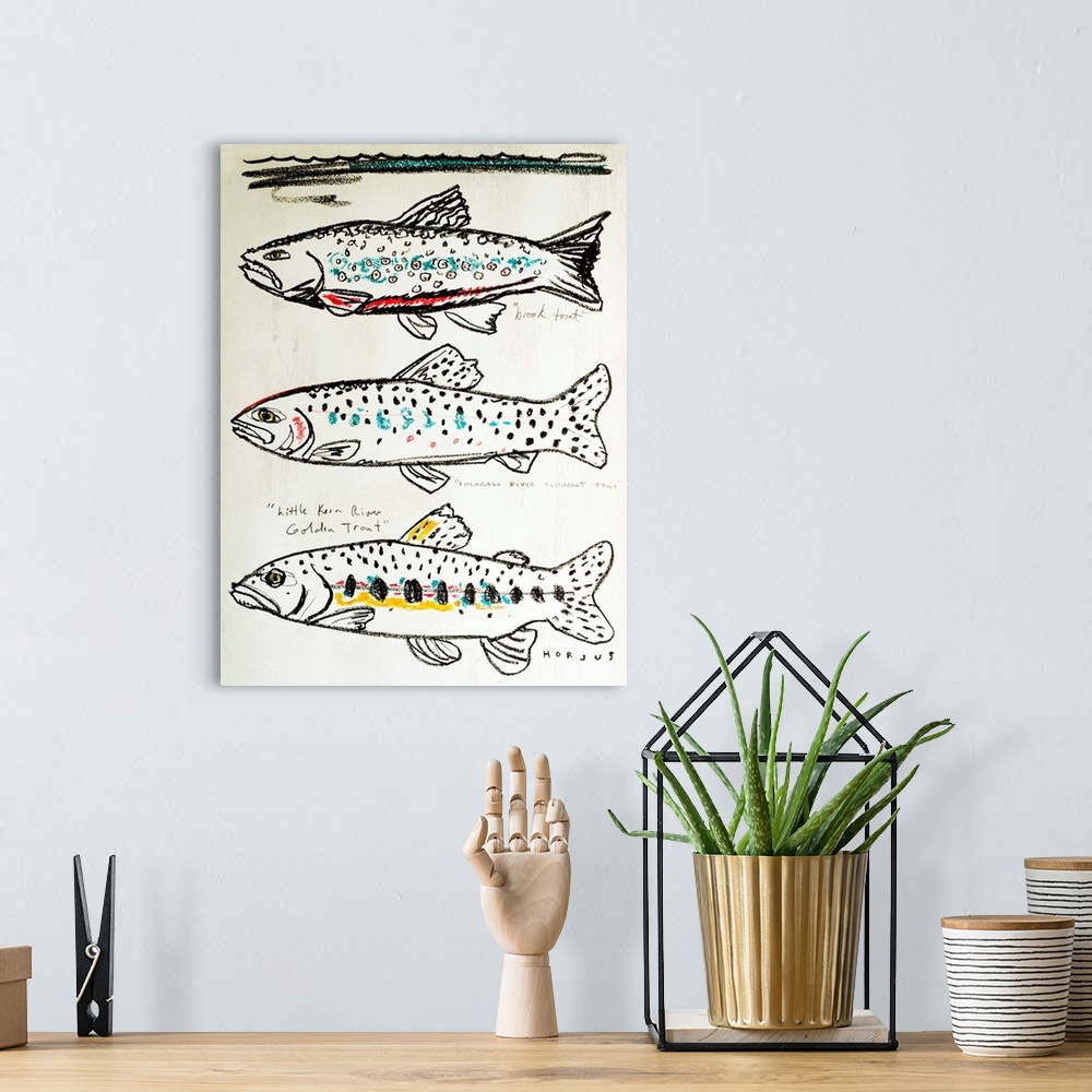 A bohemian room featuring Illustration line drawing of three different kinds of trout fish