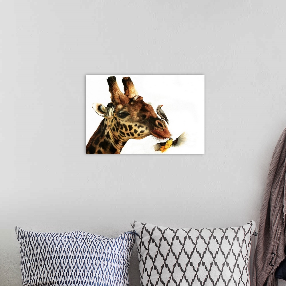 A bohemian room featuring Reticulated Giraffe with Oxpecker birds, originall painted with watercolour.