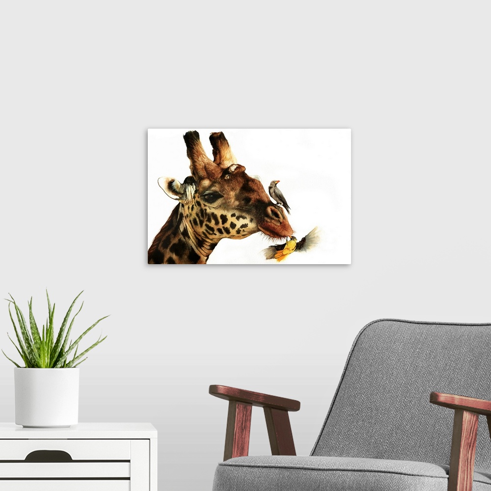 A modern room featuring Reticulated Giraffe with Oxpecker birds, originall painted with watercolour.