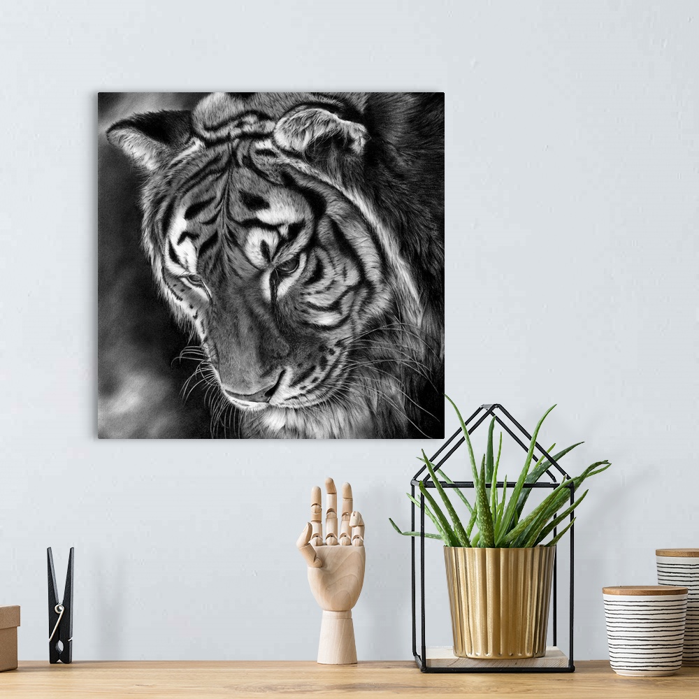 A bohemian room featuring Pencil drawing of a tiger looking downwards.
