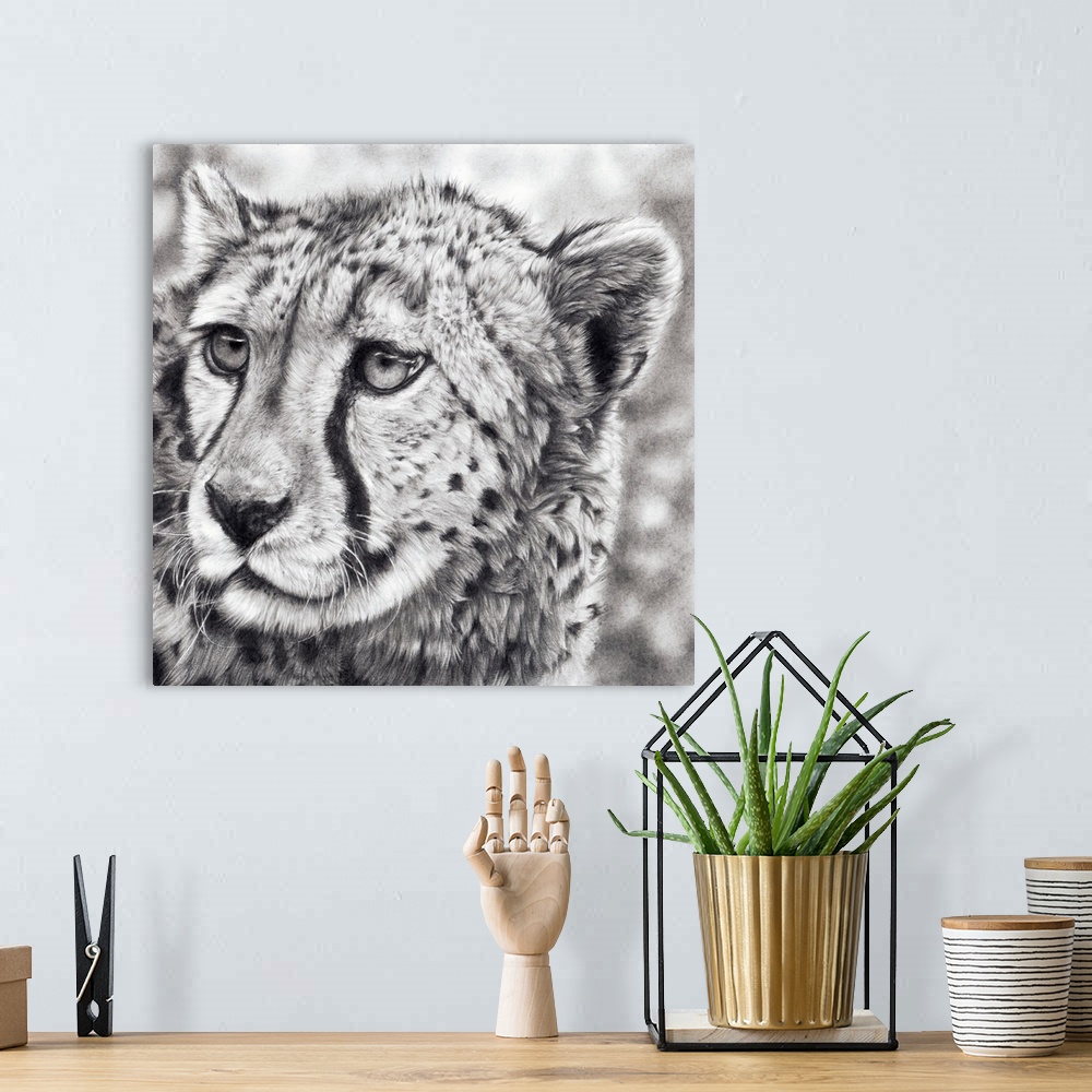 A bohemian room featuring Born To Run' is a framed, original drawing created with graphite pencils. An adolescent cheetah c...