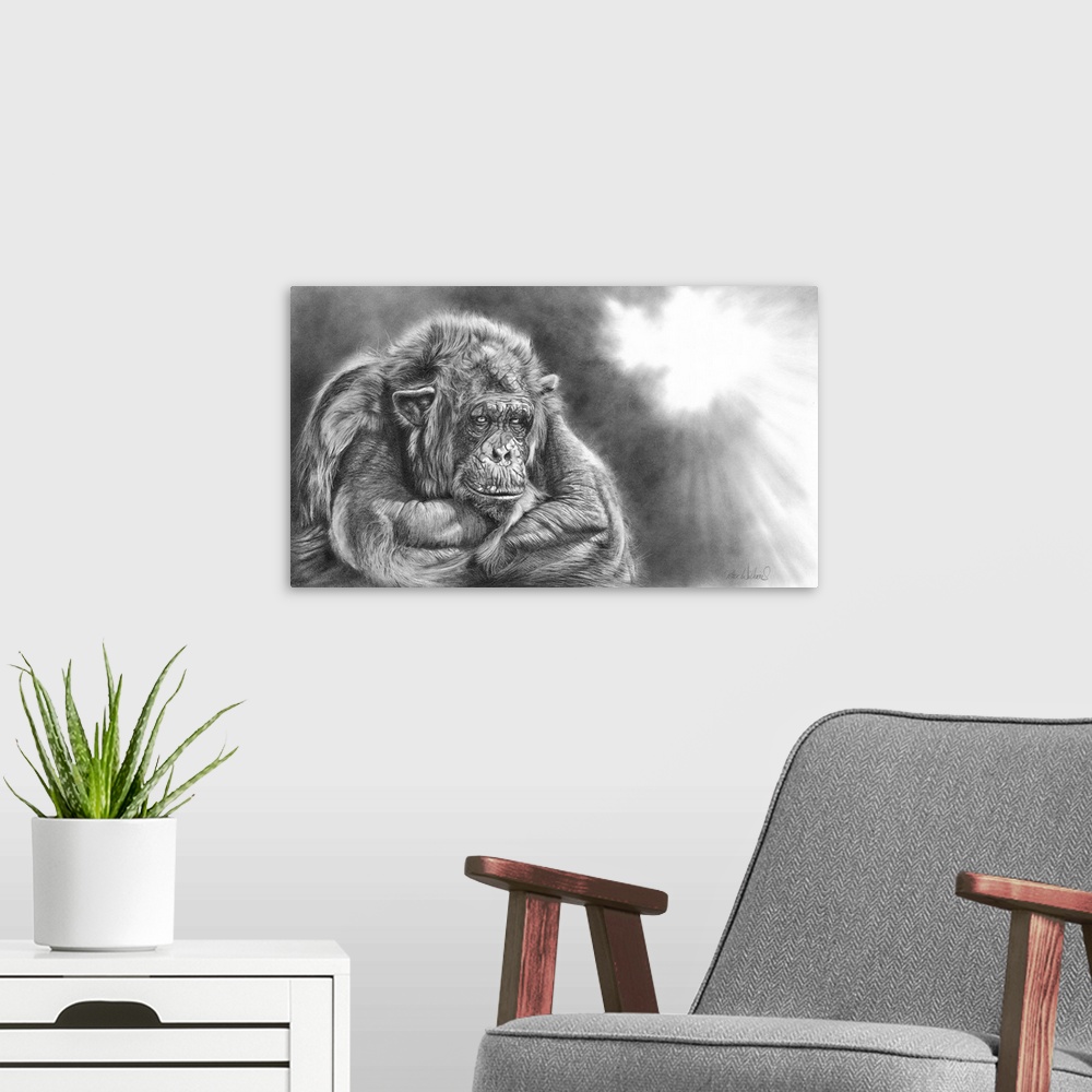 A modern room featuring A graphite pencil drawing. A highly detailed, expressive wildlife artwork featuring an African ch...