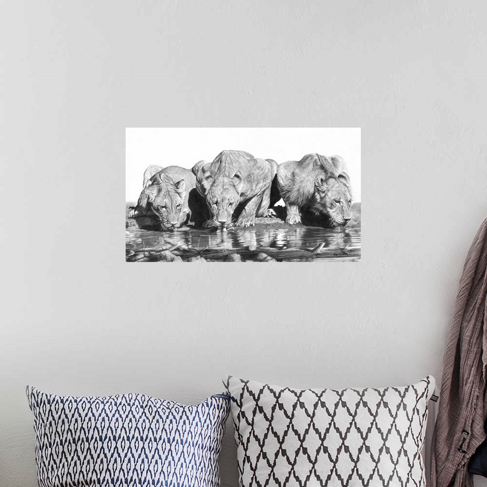 A bohemian room featuring Graphite pencil drawing of three lionesses drinking from a pool.