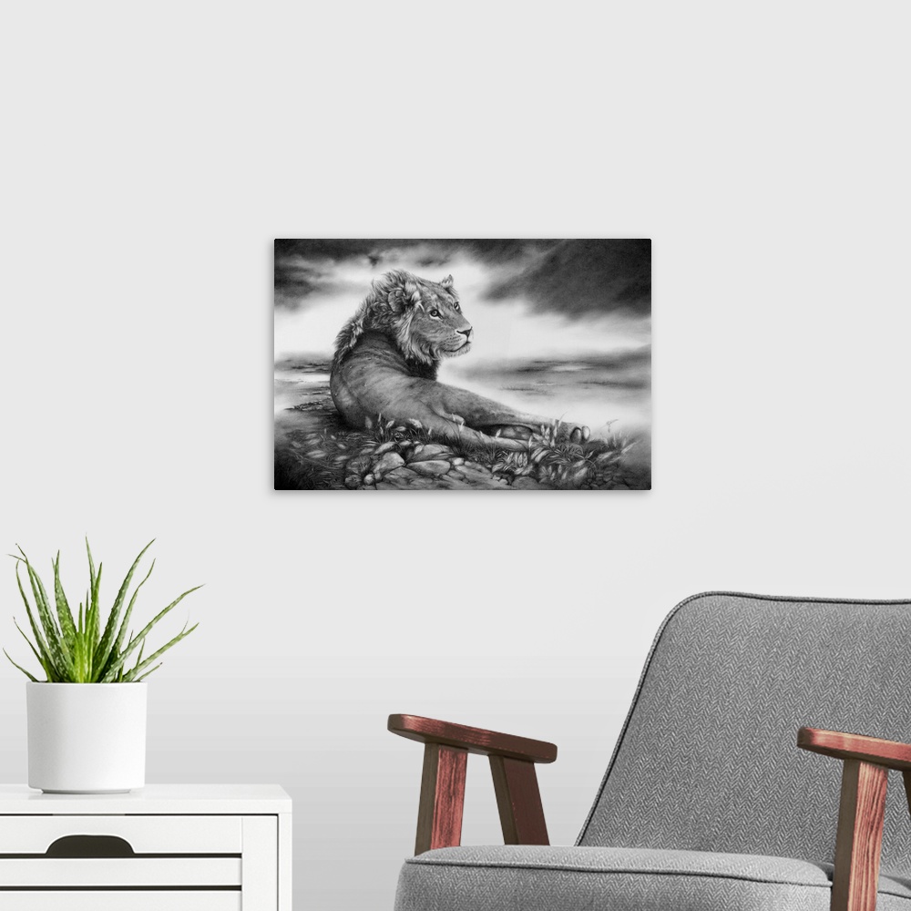 A modern room featuring A young male lion reclining on the savannah. Originally created with pencil.