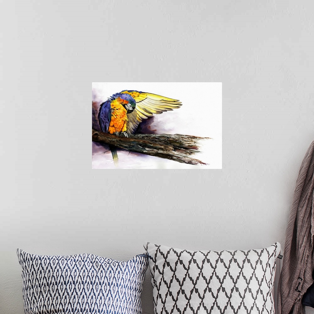 A bohemian room featuring A colourful watercolour painting of a macaw parrot preening his feathers before taking flight.