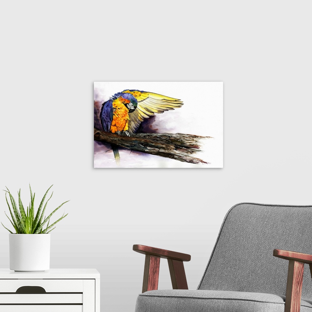 A modern room featuring A colourful watercolour painting of a macaw parrot preening his feathers before taking flight.