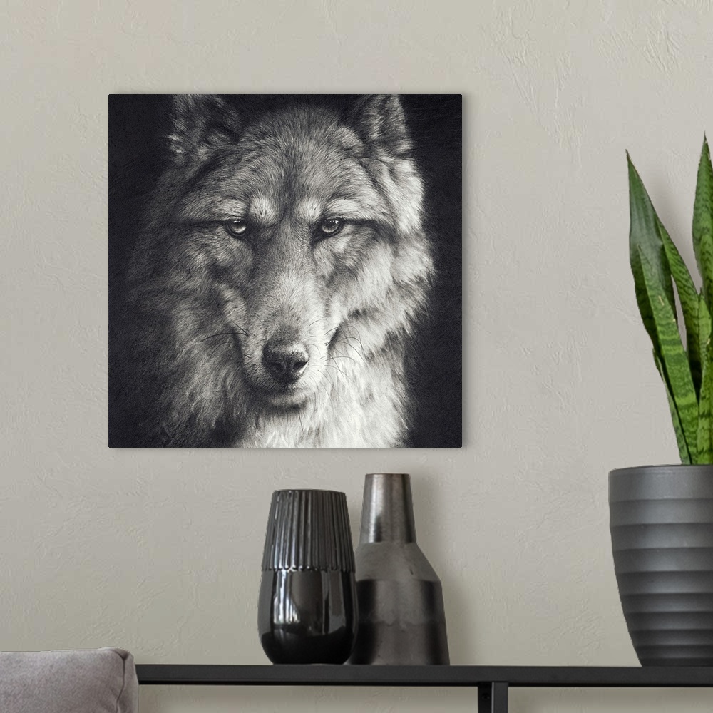 A modern room featuring 'Shadow Falling' is a graphite pencil drawing. A close up portrait of a timber wolf.