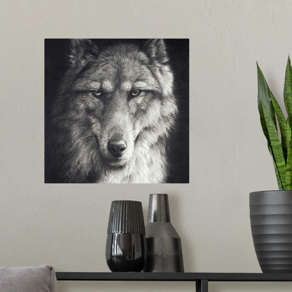 A modern room featuring 'Shadow Falling' is a graphite pencil drawing. A close up portrait of a timber wolf.