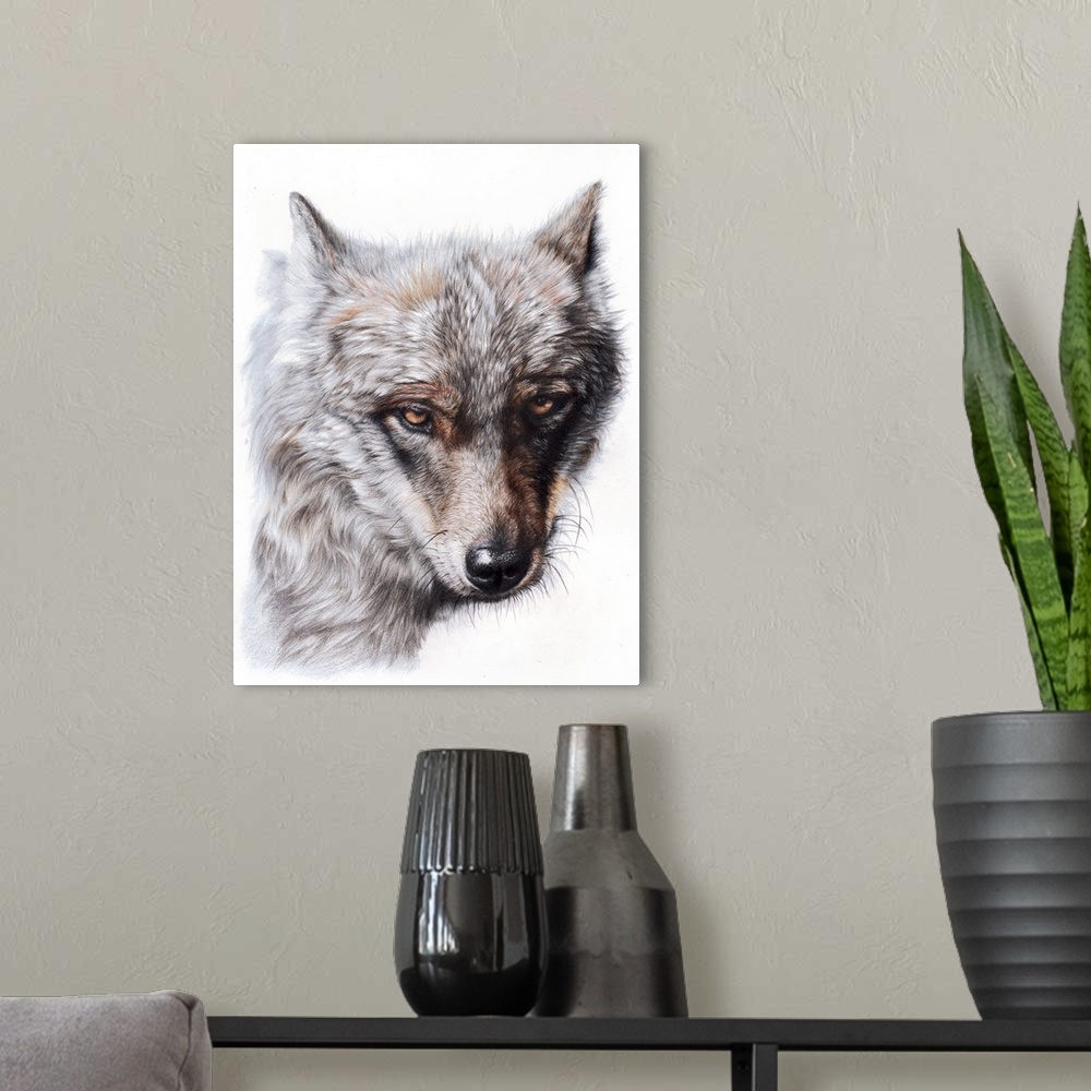 A modern room featuring 'Sierra Spirit' is a close up portrait of a beautiful Iberian wolf created with colored pencils o...