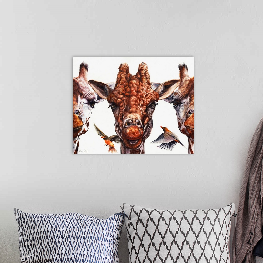A bohemian room featuring 'Simple Minds' is an original watercolor painting. It depicts three giraffes portraits in a row, ...