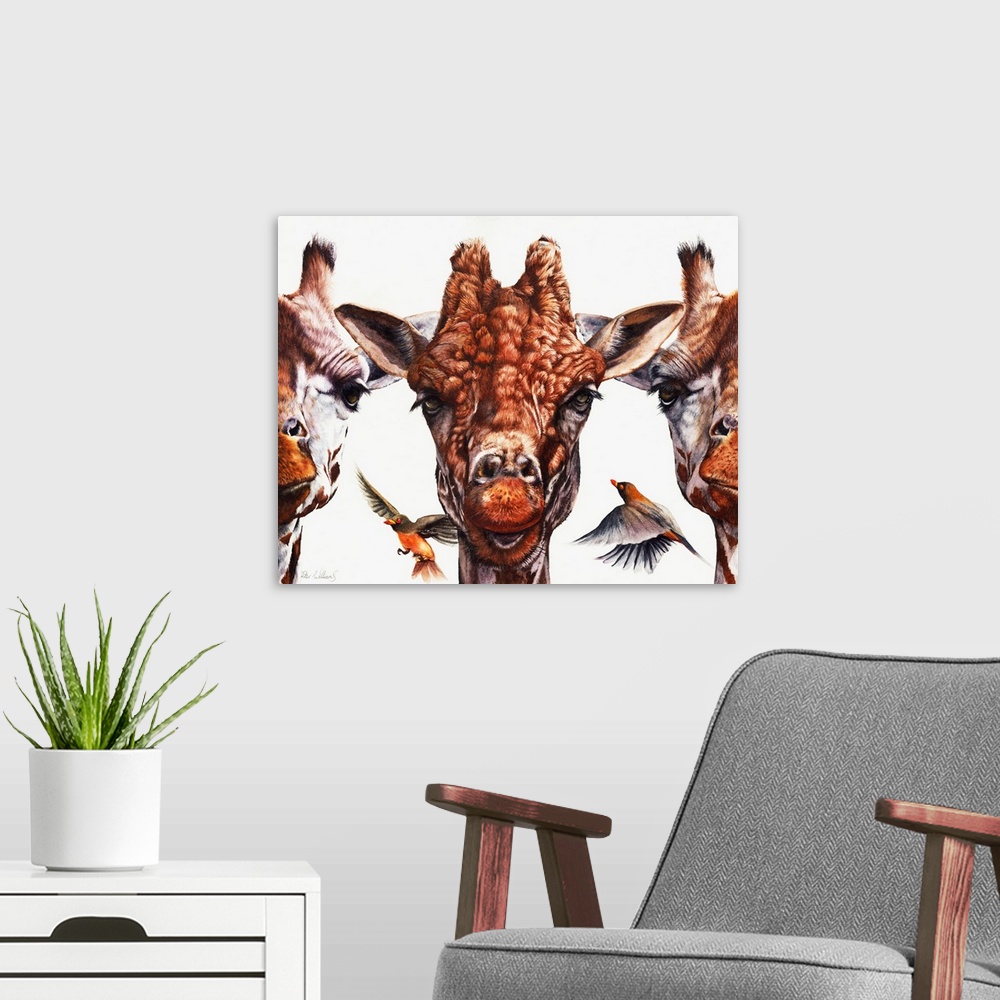 A modern room featuring 'Simple Minds' is an original watercolor painting. It depicts three giraffes portraits in a row, ...