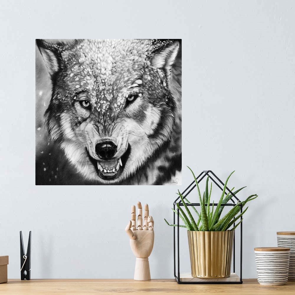 A bohemian room featuring A charcoal portrait of a snarling wolf in snow.