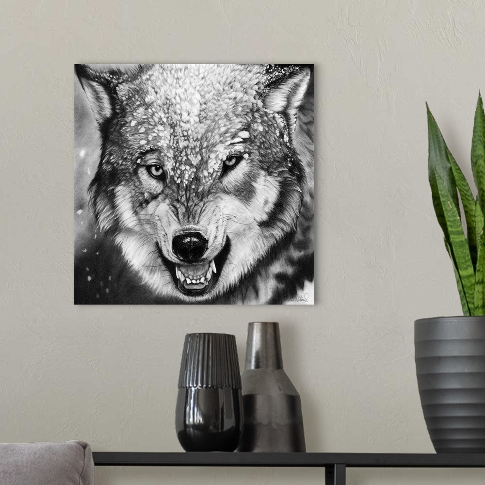 A modern room featuring A charcoal portrait of a snarling wolf in snow.