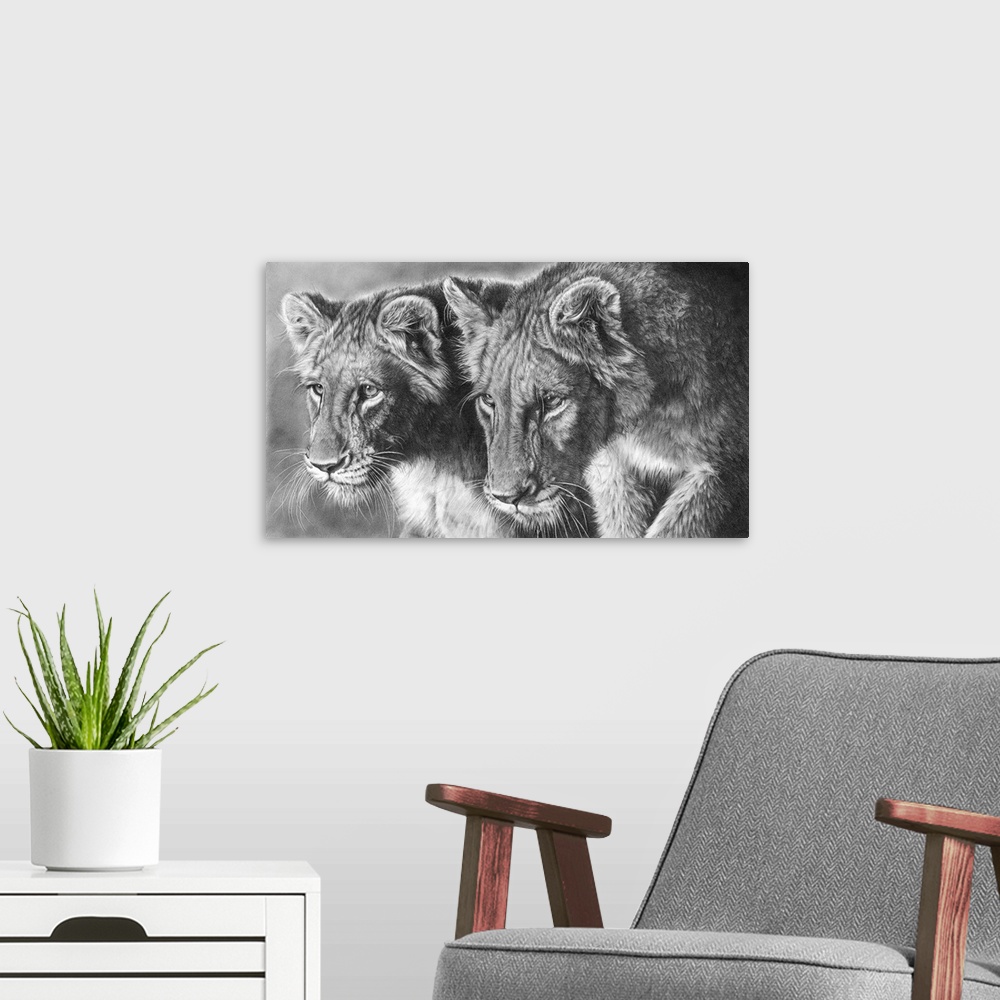 A modern room featuring Two adolescent lion cubs, on the prowl. Created with graphite pencil.