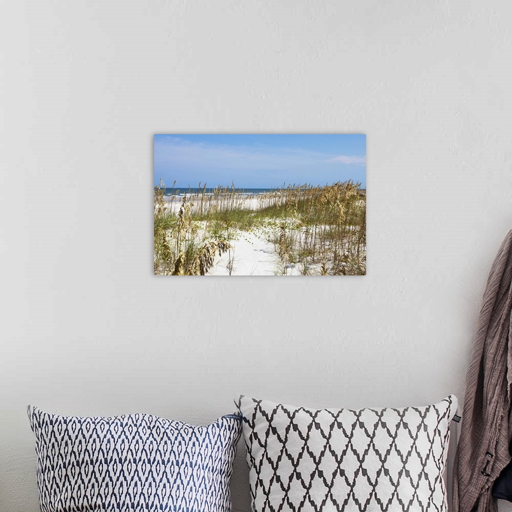 A bohemian room featuring Image of the grassy sand dunes on the beach in Florida.