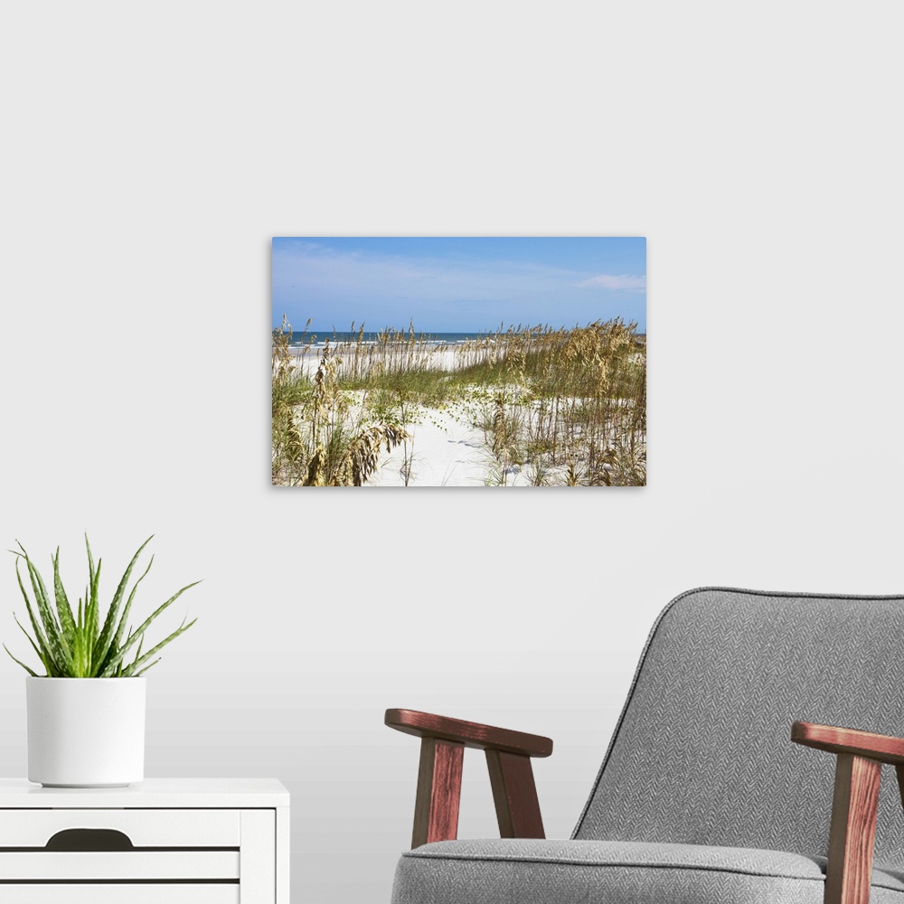 A modern room featuring Image of the grassy sand dunes on the beach in Florida.
