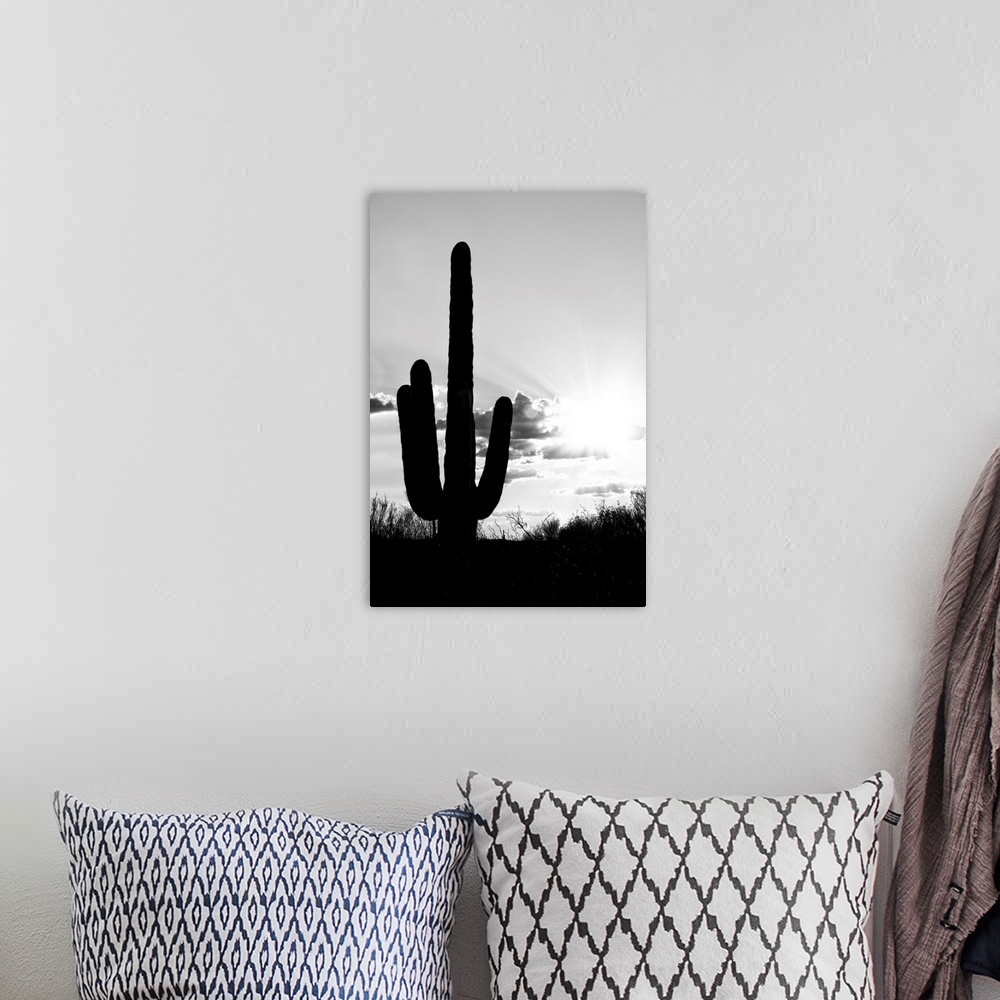A bohemian room featuring From Tucson to Monument Valley, discover this fabulous new series of photos taken under the watch...