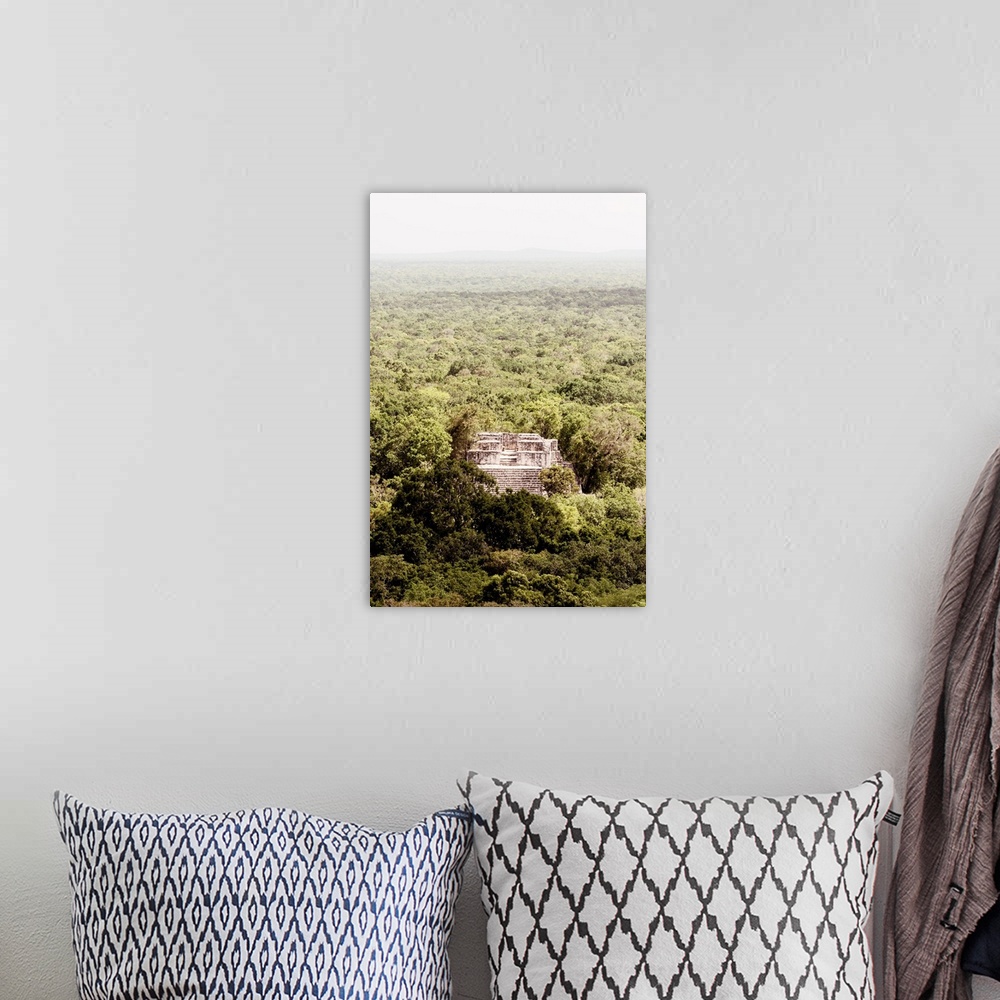 A bohemian room featuring Aerial photograph of Calakmul, an ancient Mayan city, Mexico. From the Viva Mexico Collection.