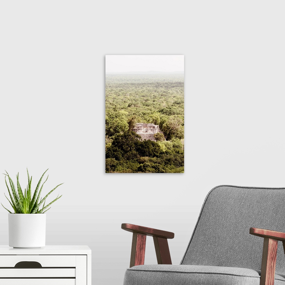 A modern room featuring Aerial photograph of Calakmul, an ancient Mayan city, Mexico. From the Viva Mexico Collection.