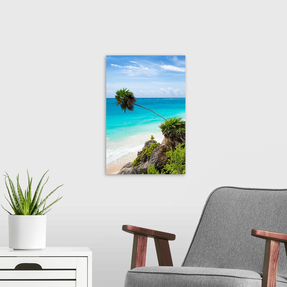 A modern room featuring Photograph of a relaxing Caribbean beach scene in Tulum, Mexico with a leaning palm tree. From th...