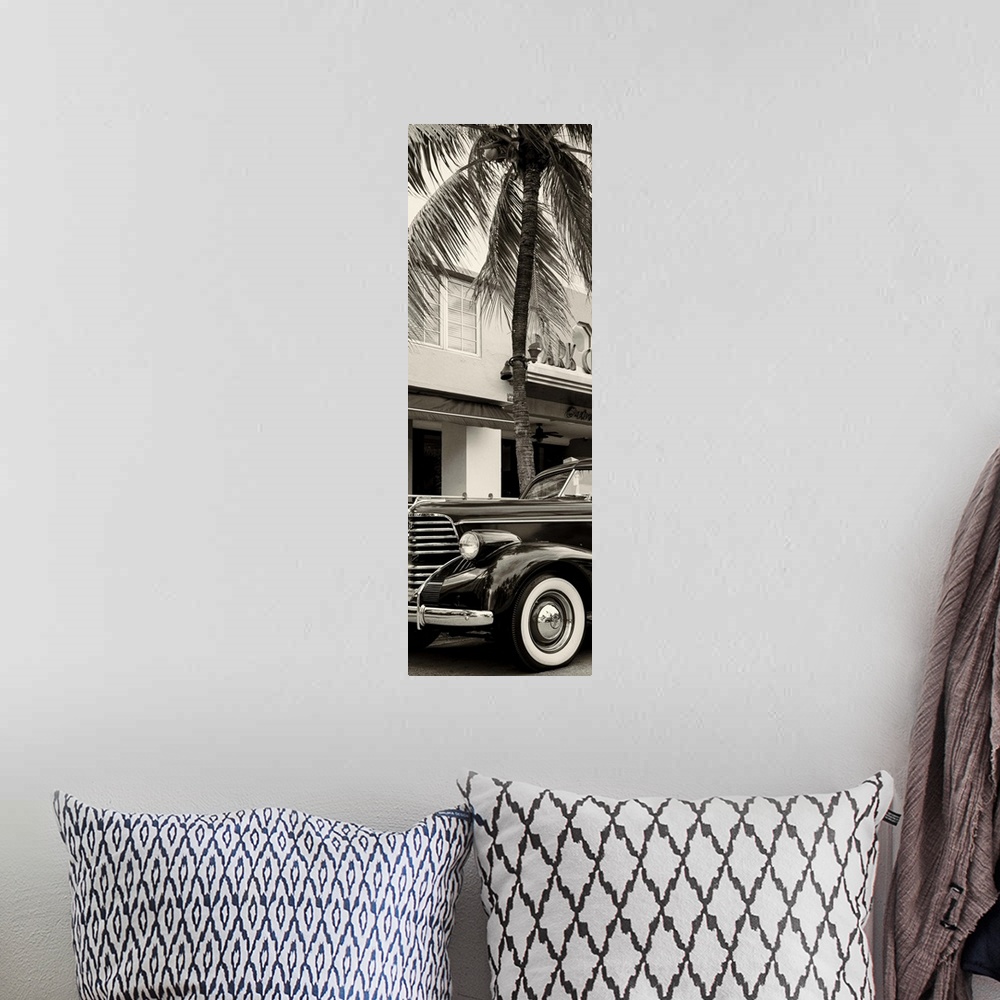 A bohemian room featuring Artistic black and white photograph of a classic car and a palm tree in Florida.